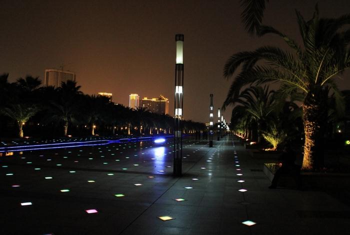 城市公园庭院花季视频黄夜景效果照片