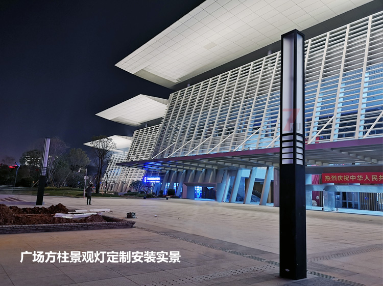 东莞市民服务中心广场中轴定制花季视频黄安装实拍效果